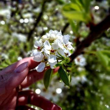2ком.квартира,КПІ