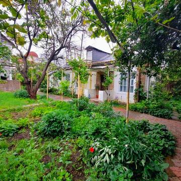 Сдам дом 2 к Аркадия с большим участком ! Животных можно!