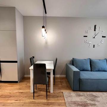 Михайла Бойчука вул. (Кіквідзе), 41