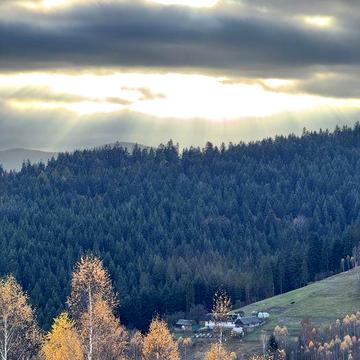 Продаж чотирьох котеджів (таунхауси), с.Поляниця(478 м.кв.)без комісії