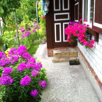 Продам дачу в садовому товаристві Дніпровський залив Кременчук