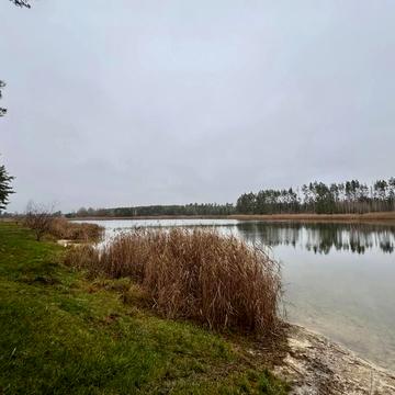 Нове Залісся, Бучанський, Київська область 22000.0 USD