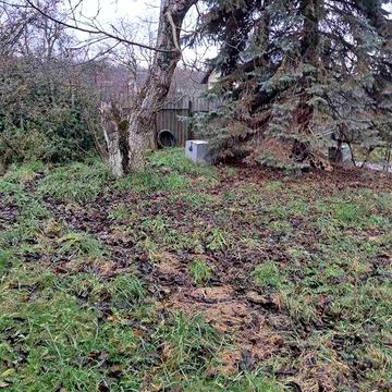 Будинок, нерухомість