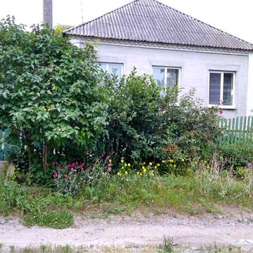 Продам будинок в затишному та місці !