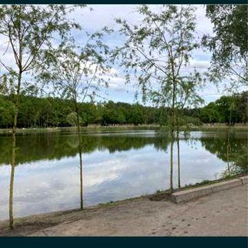 Двохкімнатна квартира ЖК Вудсторія Будинок 1 ЖК Вудсторія