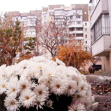 Продаж 3кім кв 3пов/14пов  Цегл.Буд Ремонт 72м 58800$ Р.Рейгана