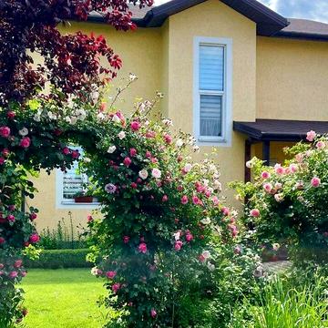 Продам 2-поверховий будинок Бориспільський р-н OM