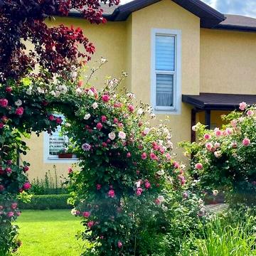 Лесі Українки вул.