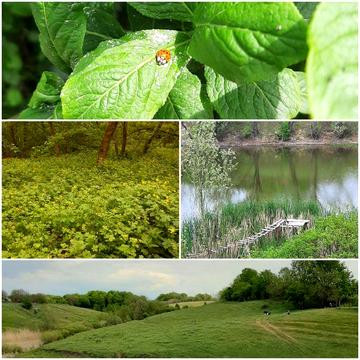 Продам дачу