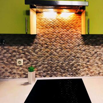 Олени Пчілки вул., 6-А