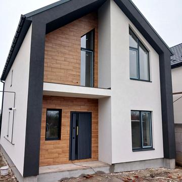 Павла Тичини