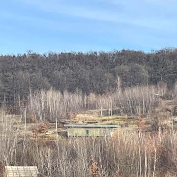 провулок Ягідний