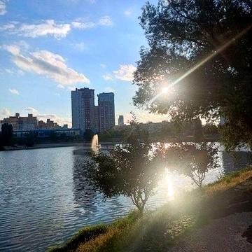 Здається 2-кімн. кв-ра поруч з озером , в 10 хв. від метро Лівобережна