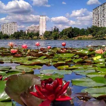 Здається 2-кімн. кв-ра поруч з озером , в 10 хв. від метро Лівобережна