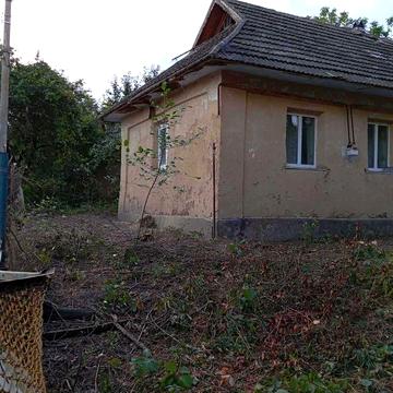 будинок,присадибна ділянка