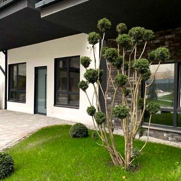 Продаж Однокімнатної квартири 53 м² в ЖК «Ютландія 2+» ЖК Ютландія 2