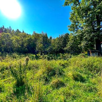 Паланики, Львівський, Львівська область 57000.0 USD