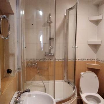 Здам 1-кімнатну квартиру в центрі