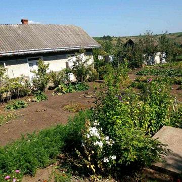 Продається господарство в селі