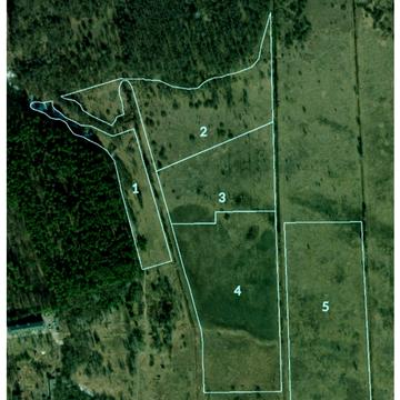 Димер, Вишгородський, Київська область 120000.0 USD