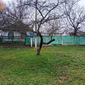 Житловий будинок