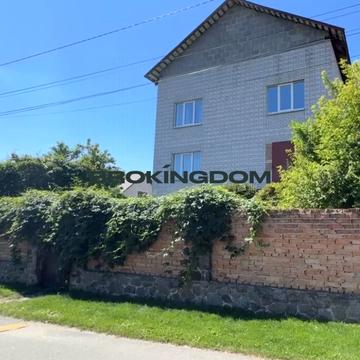 Володимирська, 20