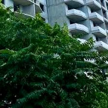 Рассрочка в готовом доме на 2 ком квартиру в Приморском районе.