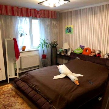 СРОЧНО • 2 К • НОВЫЙ ремонт • Престижный центр • АВТОНОМИЯ!