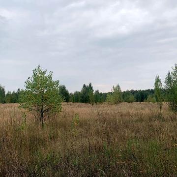 Стригани, Шепетівський, Хмельницька область 25000.0 USD