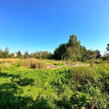 Лісна вул., 1