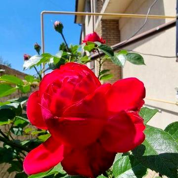 Свет! Есть! Всегда! Новострой. 3 х к кв. Левый берег. Риелторы не звон