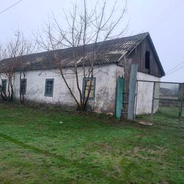 Продам будівлю ( теплиці)