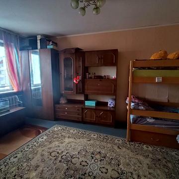 1к чешка з меблями та технікою