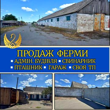 Молодіжна, 1