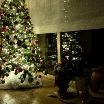 Продам окрему будівлю у центрі Одеси