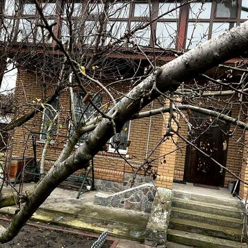 Здається будинок на Троіцькій біля річки 1400 дол