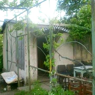 Продаем участок-дачу Доброалександровка, большая площадь