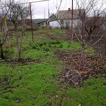 Продам дом в Цебриково