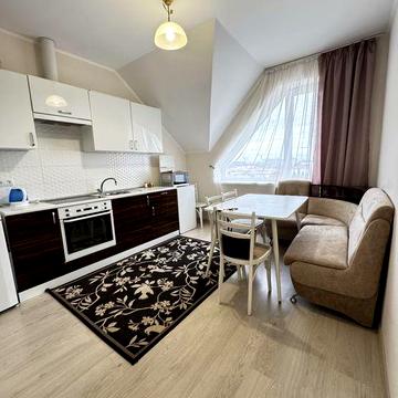 Оренда затишної однокімнатноі квартири в Боздош, Ужгород