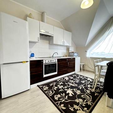 Оренда затишної однокімнатноі квартири в Боздош, Ужгород