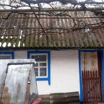 Продається будинок з великою земельною ділянкою у с. Яцьки