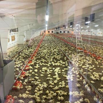 Вячеслава Чорновола вул., 15