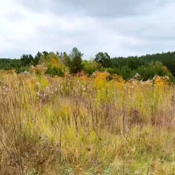 Нові Петрівці, Вишгородський, Київська область 2426.0 USD