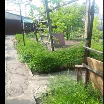 Продам дом на Черемушках с заездом для авто!