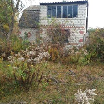 Продам дачу Звягель Житомирської області Гульськ