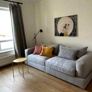 Здається 1-кімнатна квартира,пров.Павла ЛІ, 2А