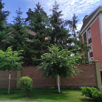 Довгострокова оренда 2к, Буча центр