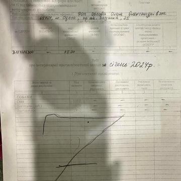 Сдам Смарт Квартиру