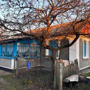 Продається приватний будинок з земельною ділянкою, Теофіпольський р-н