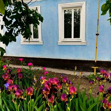 Продаж будинку Вознесенськ, до центра міста 700 м